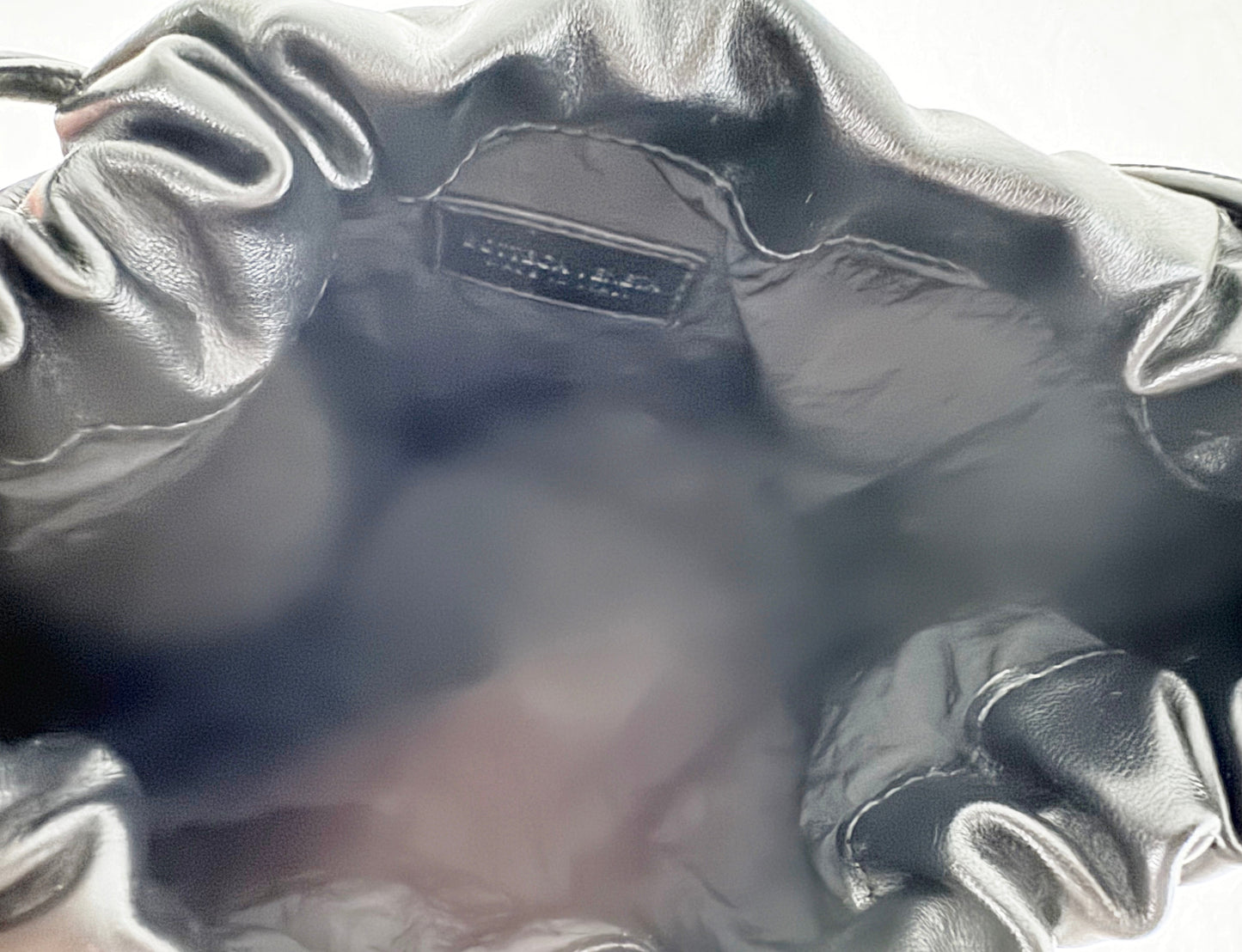 NEW Bottega Veneta Medium Dustbag Pouch